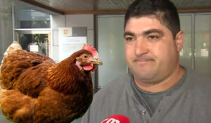 Read more about the article Homem condenado a pagar 500 euros a juiz por lhe ‘roubar’ galinha