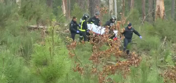 Jovem de 19 morre atingido por pinheiro, em Viseu