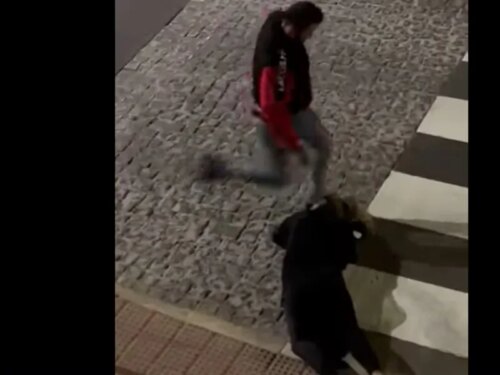 Read more about the article 🔴Homem filmado a pontapear mulher deitada no chão em rua de Grândola