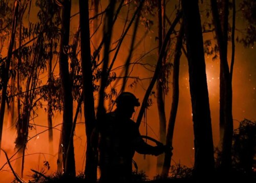 Read more about the article 🔥 Incêndio na Sertã: 239 operacionais e 15 meios aéreos combatem fogo