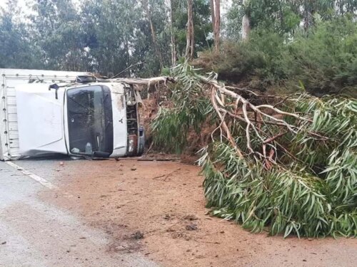 Read more about the article 🚛 Despiste de camião deixa dois feridos em Arouca