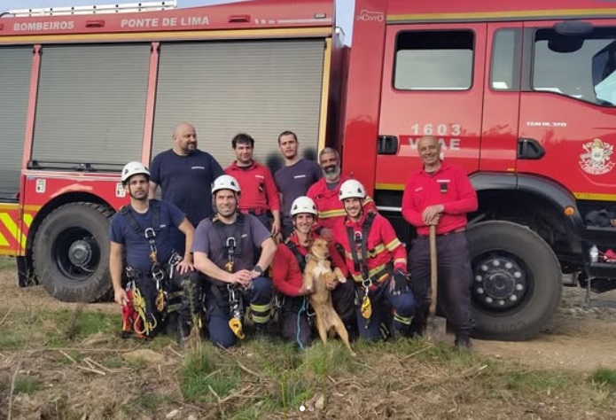 Read more about the article Bombeiros Voluntários de Ponte de Lima fazem resgate de animal que caiu em mina