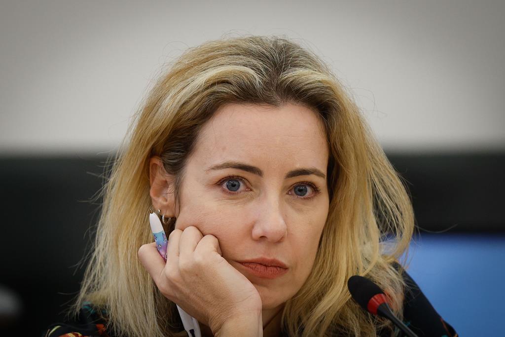 Read more about the article Mãe das gémeas luso-brasileiras processa jornalista