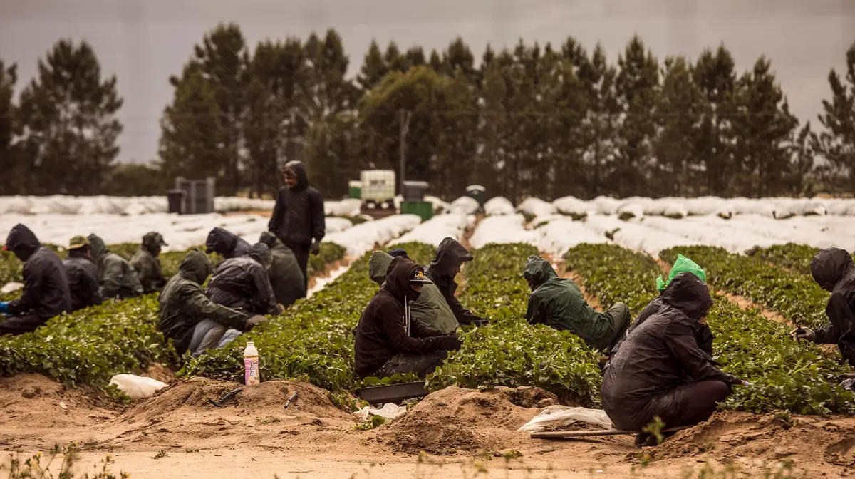 Read more about the article Encontrados quase 70 imigrantes a viver em condições precárias